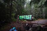 Environmental organizers said they defied a U.S. Forest Service closure in order to block potential logging.