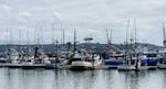 Newport's Dock 5 on May 2, 2025. Oregon exported nearly $50 million worth of seafood to global markets last year, according to the U.S. Census Bureau’s Foreign Trade Division accessed via wisertrade.org.