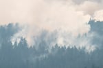 FILE - The Grasshopper Fire burns in the mountains west of Friend, Ore., on Aug 3, 2026.