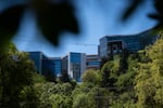A bird flies overhead as OHSU's Marquam Hill Campus, where the OHSU and Doernbecher Emergency Room is, sits on Marquam Hill in Portland, Ore., on April 25, 2026.