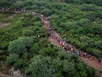 Migrants trekking through the jungle during clandestine journeys through the Darien Gap typically endure five or six days, exposed to all kinds of harsh weather conditions. Over 390,000 individuals have entered Panama through this jungle on their way to the United States.
