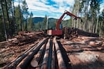 A contractor sorts logs on Oregon Board of Forestry land in southern Oregon. 