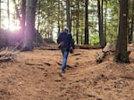 Adam Welz treks through New York's Adirondack Park. "This is a much more diverse, much more stable system than it was because of these efforts to allow species to re-establish themselves," he says.