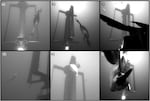 Researchers from the University of Washington and the Pacific Northwest National Lab monitored a small tidal energy turbine for impacts with wildlife in the winter of 2023-24. The team observed diving birds more than 400 times; none came into contact with the turbine.