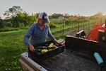 Annie Woods lifts a crate of squash and zucchini while harvesting Wednesday, July 1, 2026, at her farm in Brooksville, Ky.