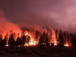 The Bootleg Fire, burning on the Fremont-Winema National Forest.