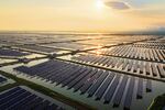 Chinese solar fields 