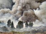 Artificial Intelligence is helping scientists better understand wildfire emissions in the Northwest.