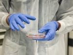 Conception's Pablo Hurtado carries a petri dish of very early primordial germ cells in a company lab.