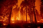 In this long exposure photograph, the Caldor Fire burns through trees on Mormom Emigrant Trail east of Sly Park, Calif., Tuesday, Aug. 17, 2021.