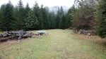 When Cilde Grover was growing up, this pasture was open all the way to Winchuck River.  Now the trees are taking over.