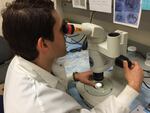 Eric Dexter uses a microscope to identify invasive plankton.