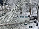 If a tree falls on your car and also hits your home, that’s two different policies. Damage to a structure is under homeowner’s insurance while vehicle damage is under comprehensive auto coverage.