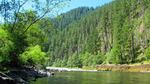 In the Upper Clackamas, mature stands of trees line the riverbanks on Forest Service land, helping to keep the water cold for salmon, steelhead and bull trout.