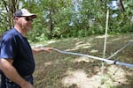 Dan Caldwell near a stand of maples in Sheridan that were considered trash trees until a few years ago. June 7, 2023.