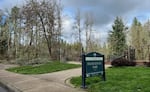 Crews are still cleaning up downed trees and branched in Eugene parks after the ice storm last week.