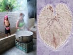 Emma (left), who possesses great knowledge of plants along with many of the women along the Costa Chica regions of Guerrero and Oaxaca, uses the Hoja Santa leaves (right) as healing pads for her grandchildren when they have a cold. The leaves are heated in the stove and placed with ointments on a patient's chest or back.