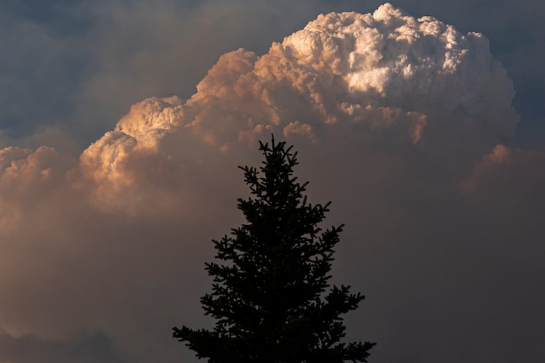A plume of smoke behind the silhouette of a tree.