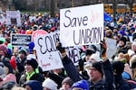 People hold signs with pro-life messages at an outdoor rally