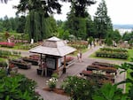 The International Rose Test Garden.