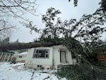 Sarah and Joel Bond's home, seen in this provided photo, is unlivable after a huge Douglas fir tree they'd been denied permission to remove came down on it in the January winter storm. The family and neighbors were home, but no one was injured.