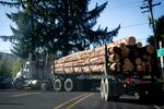 A truck carrying logs near Tillamook, Oregon.