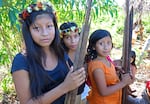 A group of young women from the Awa people in Brazil hold their bows and arrows as they return from a hunt. A new reexamination of ethnographic studies finds female hunters are common in hunter-gatherer societies.