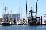 The Charleston Marina, shown here July 30, 2026, is Oregon's third largest fishing port, with 2020 landings valued at roughly $20 million.