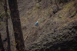 A crew member works on a section of the Pacific Crest Trail damaged in the Eagle Creek Fire.