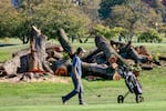 A golfer walks near log sections cut from trees at the East Potomac Golf Links, in Washington, Tuesday, Oct. 13, 2026.