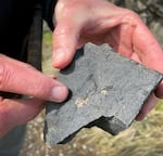 Geologist Nick Zentner points out the  orange plagioclase feldspar crystals embedded in the Ginkgo lava flow on March 14, 2023.
