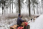 Thad McCracken shouts directions on the trail. These sled dogs receive only verbal commands: "gee" means right, "haw" means left, and "on by" means pass.