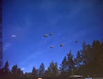 A collection of parachutes drifts out of a clear blue sky toward the treeline.