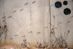 Footprints adorn the outside of the Mariposa port in Nogales, Arizona on Wednesday, March 27, 2024.