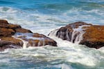 Rocky Shore area, early September 2026.