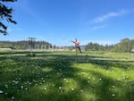 Matthew Paluszek of Astoria tosses a frisbee in Trojan Park on May 2, 2026. Portland General Electric maintains the public park, which features a disc golf course, a lake stocked with trout and walking trails alongside the former Trojan Nuclear Plant site in Rainier, Oregon.