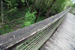 The railing's inscription reads: "Below quick sand river of the country is low rich and thickly timbered on each side of the river, the islands open and some ponds river wide and emence numbers of fowls flying in every direction such as swan, geese, brants, cranes, stalks, white guls, comerants & plevers & c. Also great numbers of sea otter in the river." — William Clark November 3, 1805