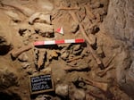 This image released by the Italian Culture Ministry shows a cave near Rome where fossil findings were discovered, shedding new light on how the Italian peninsula was populated and under what environmental conditions. The Italian Culture Ministry announced the discovery Saturday, May 8, 2021, saying it confirmed that the Guattari Cave in San Felice Circeo, where a Neanderthal skull was discovered in 1939, was “one of the most significant places in the world for the history of Neanderthals.”
