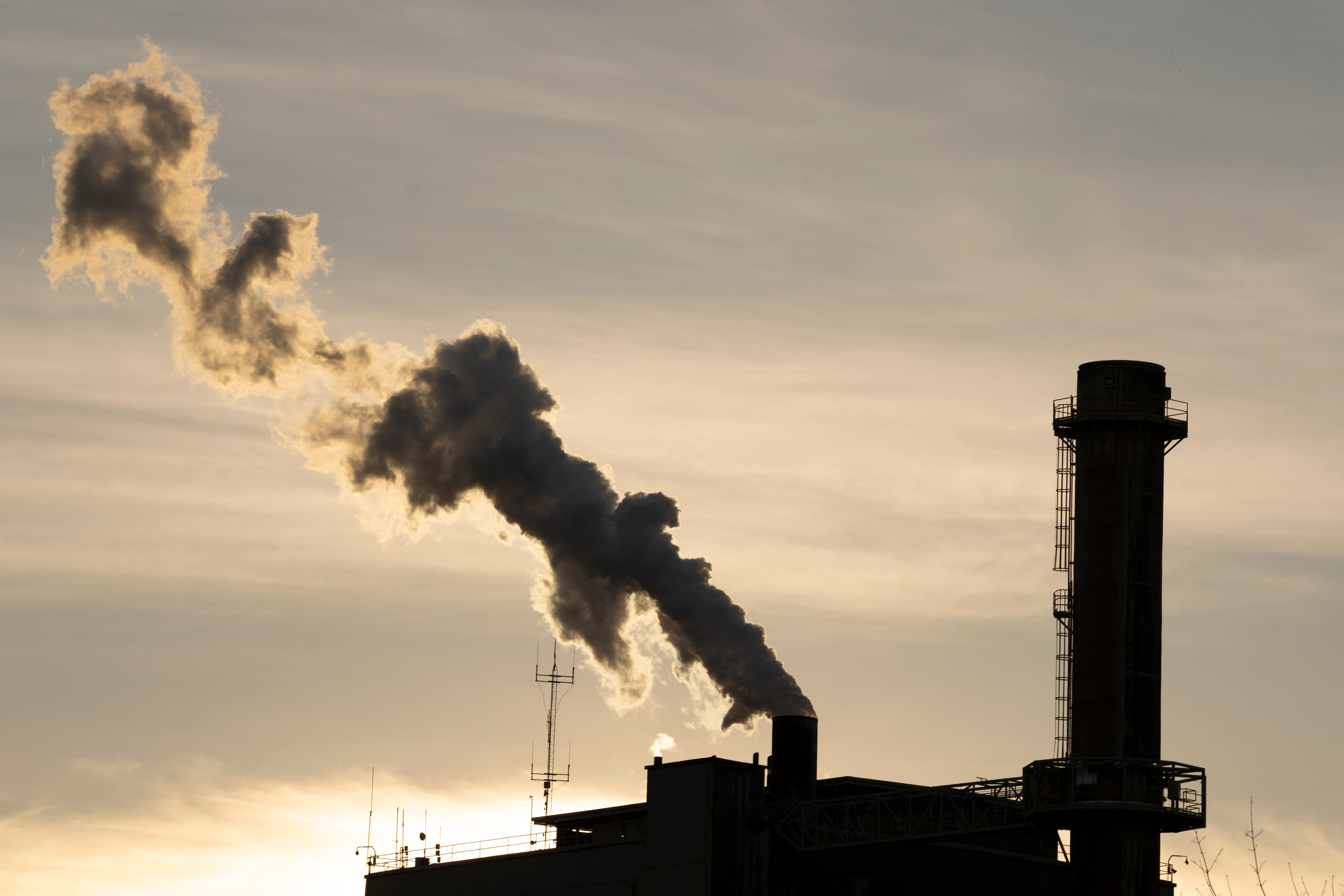 FILE - Steam is seen at the Nippon Dynawave Packaging Company plant, which manufactures liquid packaging board, on March 14, 2024, in Longview, Wash.