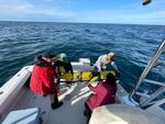 Researchers from the UGA Skidaway Institute and the University of South Carolina deploy a Teledyne G3 Slocum Glider.