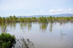 Moving levees and creating floodplains can more than a decade, since securing the land and permitting can be challenging.