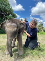 Oregon Zoo elephant conservation lead Dr. Sharon Glaeser is shown visiting in June 2023 with Agathis, an orphaned Bornean elephant calf being cared for at the Borneo Elephant Sanctuary in Sabah, a state in the northern part of Borneo. For years, the Oregon Zoo has been supporting conservation efforts to save the endangered Bornean elephant, including funding two wildlife ranger positions in the Sabah Wildlife Department's Wildlife Rescue Unit and helping develop a plan to care for orphaned or separated calves and juvenile elephants.