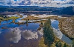 Two hundred forty-five acres of land at North Fork Bend have been placed in permanent protection to restore the lower Siuslaw River tidal estuary.