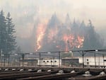 The Eagle Creek Fire as seen from the Cascade Locks Hatchery. To keep hatchery fall chinook from dying because of the fire, Oregon officials released them early.