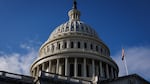 The U.S. Capitol Building is seen on December 2, 2024 in Washington, D.C.