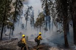 Firefighters put out hot spots from the Washburn Fire in Yosemite National Park, Calif., on July 11.