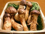 Matsutake mushrooms (file photo).