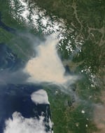 The satellite image over British Columbia's Vancouver Island was captured by the Moderate Resolution Imaging Spectroradiometer aboard the Terra satellite on July 5, 2015.