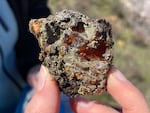 Geologist Sibelle Maksoud holds up a chunk of amber the size of a golf ball. “It’s a treasure,” she says.