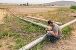 Justin Grant opens an irrigation pipe that allows water from his agriculture well to move into nearby cattle grazing fields, Saturday, July 24, 2021, in Klamath Falls, Ore. Dozens of domestic wells have gone dry in an area near the Oregon-California border where the American West's worsening drought has taken a particularly dramatic toll. 